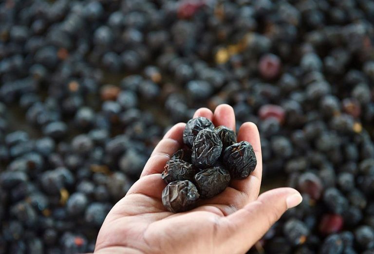 Harga Kurma Nabi